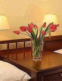 U Krale Hotel